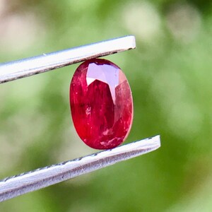Peut inclure: Un rubis ovale et poli, maintenu par une pince argentée. La pierre précieuse rouge foncé reflète la lumière, sur un fond vert flou. La surface lisse et la couleur riche du rubis sont mises en valeur, soulignant sa beauté naturelle.