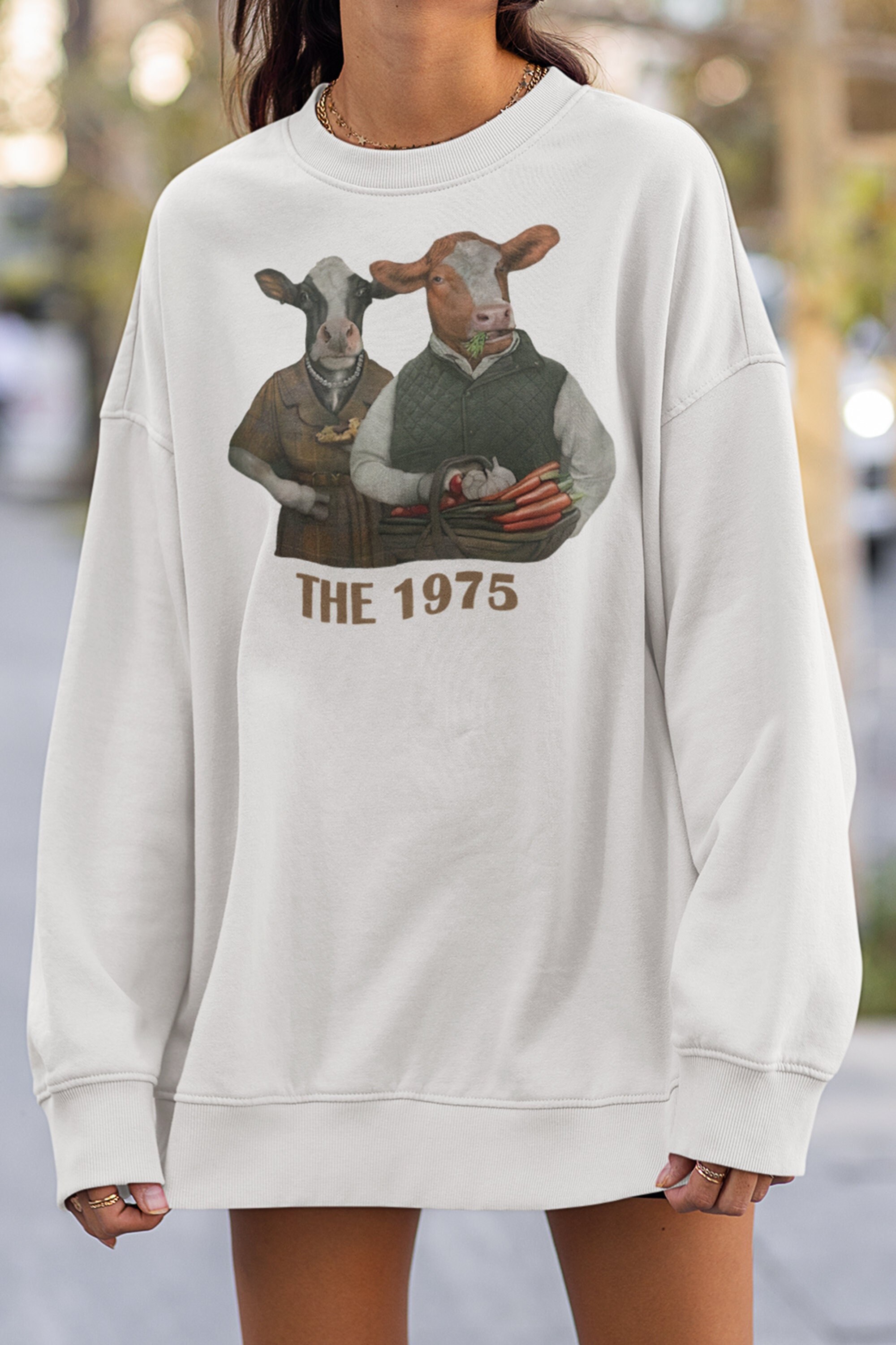 THE 1975 DISTRESSED SWEATER スウェット | red-village.com