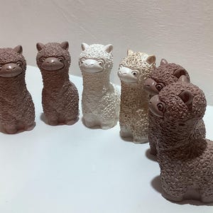 alpaca llama