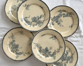 Assiettes plates U&Cie Sarreguemines décor GROSEILLES