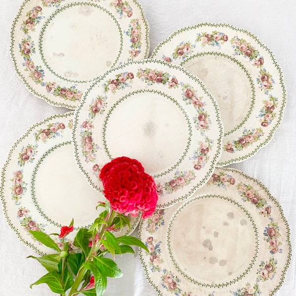 Assiettes plates Grand Dépôt E.Bourgeois Faïence Anglaise