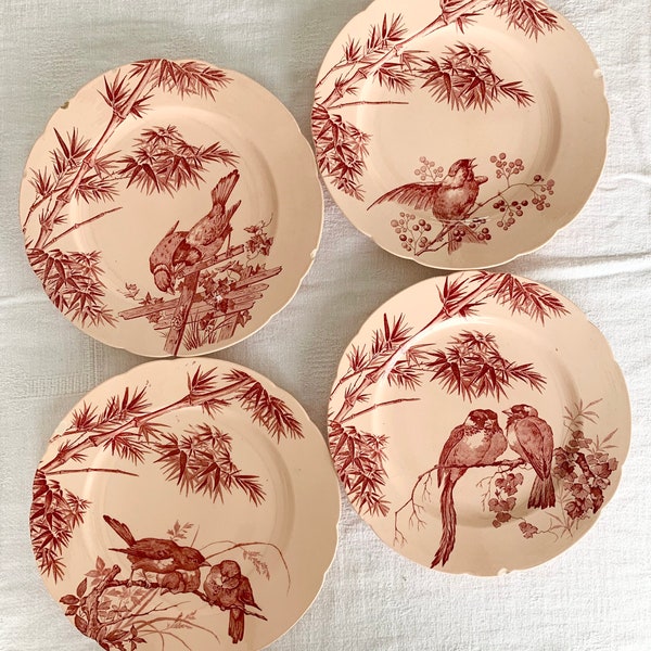 Assiettes plates Longwy décor OISEAUX