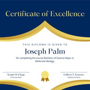 May include: A blue and gold certificate of excellence is awarded to Joseph Palm for completing the course Bachelor of Science Major in Molecular Biology. The certificate has a gold seal with a ribbon.