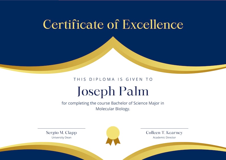 May include: A blue and gold certificate of excellence is awarded to Joseph Palm for completing the course Bachelor of Science Major in Molecular Biology. The certificate has a gold seal with a ribbon.