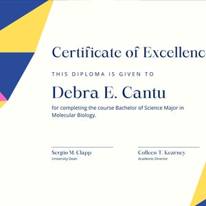 May include: A certificate of excellence with a colorful geometric design in pink, yellow, and blue. The certificate is given to Debra E. Cantu for completing the course Bachelor of Science Major in Molecular Biology. The certificate is signed by Sergio M. Clapp, University Dean, and Colleen T. Kearney, Academic Director.