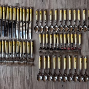 May include: A complete vintage silverware set with ivory-colored handles and stainless steel blades and bowls. The set includes knives, forks, and spoons, arranged neatly on a wooden surface. The handles have a decorative design.
