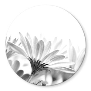 artissimo Glasbild 30x80cm Bild aus Glas Wandbild Wohnzimmer Blume  Gänseblümchen