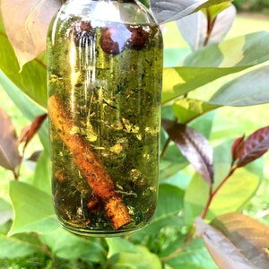 May include: A clear glass bottle with a brown cinnamon stick and green herbs inside. The bottle is filled with a light yellow liquid.
