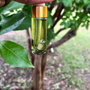 May include: A small glass vial with a gold cap, filled with a green liquid and small objects. The vial is held up against a backdrop of green leaves and a tree trunk.