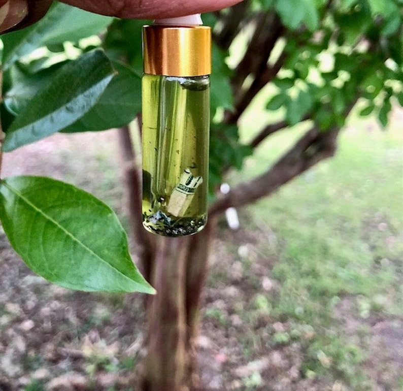 May include: A small glass vial with a gold cap, filled with a green liquid and small objects. The vial is held up against a backdrop of green leaves and a tree trunk.