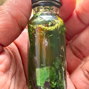 Pode incluir: Uma pequena garrafa de vidro transparente com tampa preta, cheia de l&iacute;quido verde e mat&eacute;ria vegetal. A garrafa &eacute; segurada na m&atilde;o, mostrando o conte&uacute;do. O l&iacute;quido parece ser infundido com ervas ou bot&acirc;nicos.