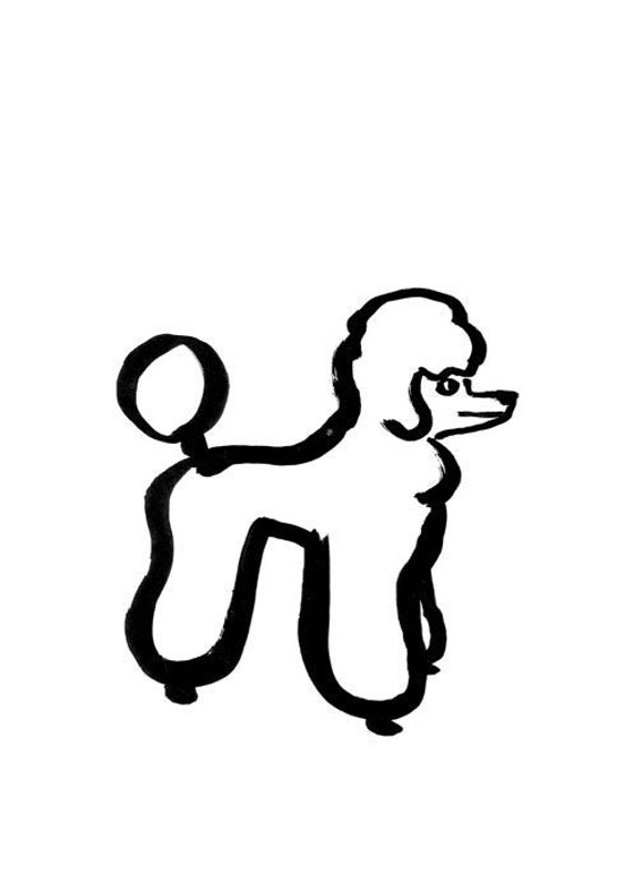 Poster Caniche Pompon