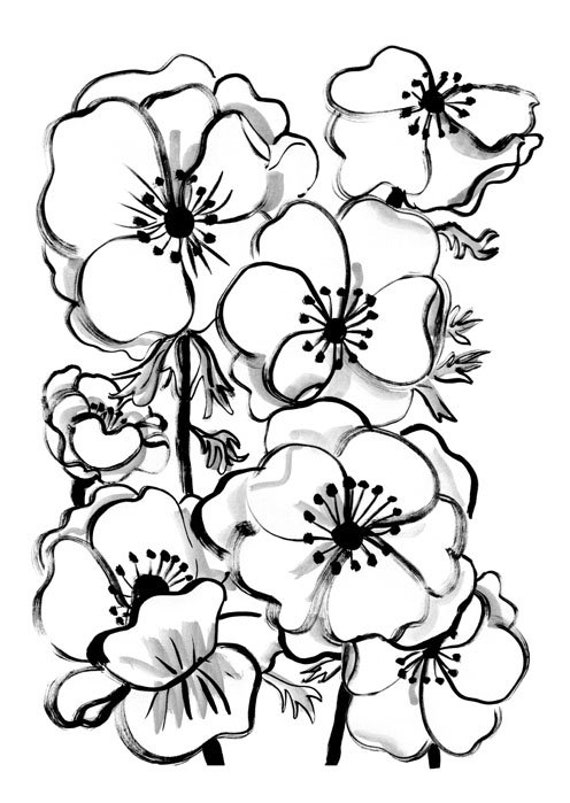 Poster Anémones de Caen