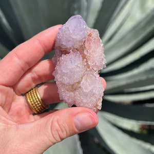 Spirit Quartz | Quartz Cluster | Crown Chakra | Solar Plexus Chakra | Spirit Amethyst | Cactus Quartz | Purple Crystal | Pink Crystal