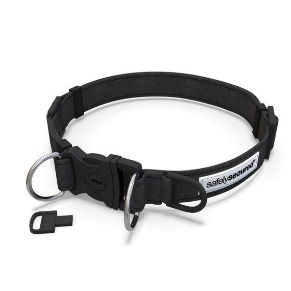 Safely Secured Anti theft Lockable Dog Collar Etsy Canada
