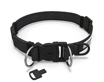 Safely Secured Anti-Theft Lockable Dog Collar