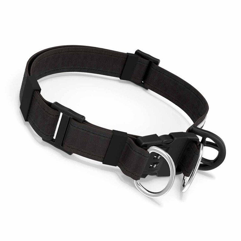 Safely Secured Antitheft Lockable Dog Collar Etsy