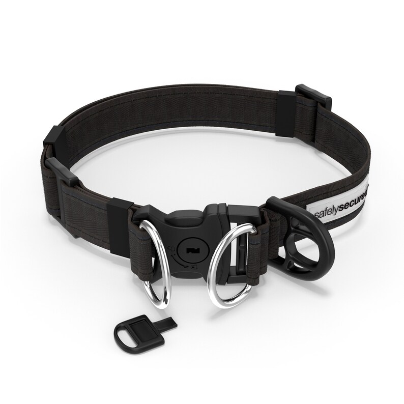 Antitheft Dog Collar Etsy