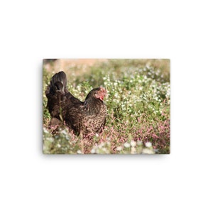 Hen in Flowers Farmhouse Print Canvas
