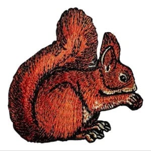 Pode incluir: Etiqueta bordada de um esquilo vermelho com cauda espessa, sentado em suas patas traseiras.