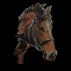 May include: A close-up of a brown horse's head with a bridle. The horse's mane is dark brown and its eyes are dark. The horse's nose is pointed and its mouth is closed. The horse's head is turned to the right.