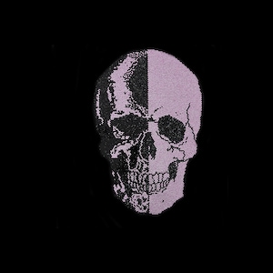 May include: A black and white skull graphic with a pink background. The skull is pixelated and has a half-tone effect.