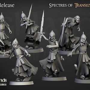 Wraith Unit from Transylvanya by Highland Miniatures