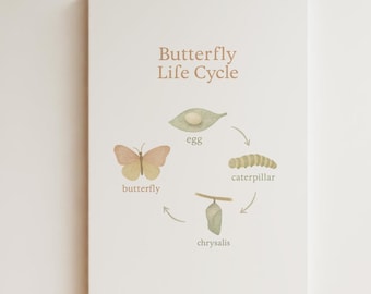 Montessori Butterfly Life Cycle Poster Printable PDF | Educational Science Wall Art for Kids | Nature Learning Chart | Homeschool Decor