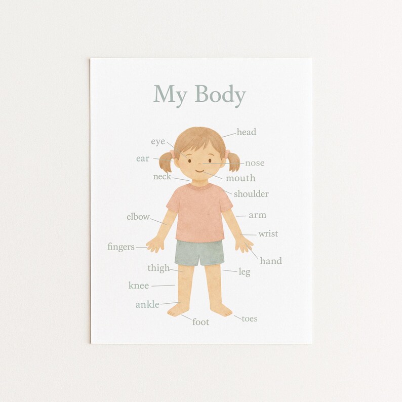 My Body Poster Girl | Body Parts Chart for Kids | Montessori Anatomy ...