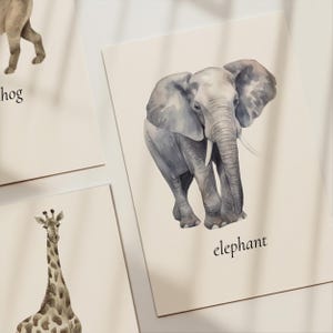 African Safari Animal Flashcards: Watercolor Montessori Cards (PDF Download 3x4in)