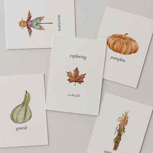 Può includere: Cinque biglietti bianchi con illustrazioni ad acquerello a tema autunnale. Le immagini includono uno spaventapasseri, una zucca, una zucca, mais e una foglia d'acero con il testo "exploring in the fall."