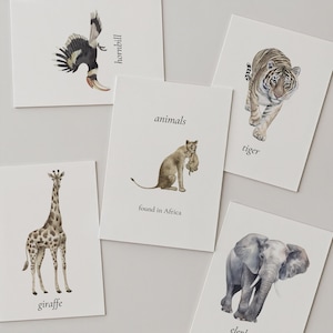 Montessori African Animal Flashcards: Watercolor Safari Printables (PDF Download)