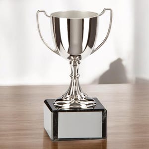 Silver Nickel Plated Trophy with Marble Base, Free Engraving, 2 Sizes Available, Office Trophy, Kids Trophy, A Trophy For All Occasions