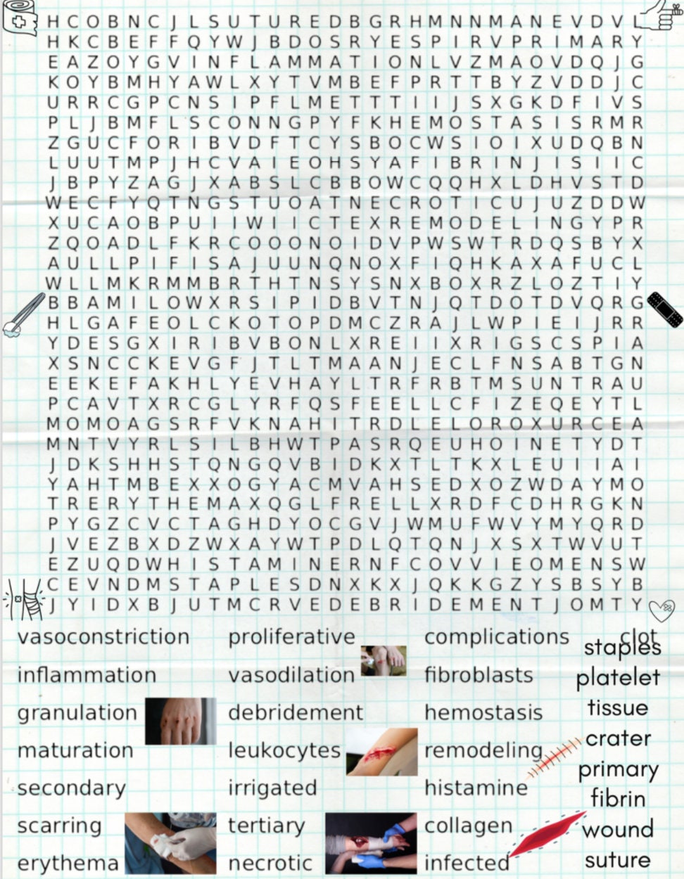 Nursing Word / Medical Terminology Search Puzzle Etsy