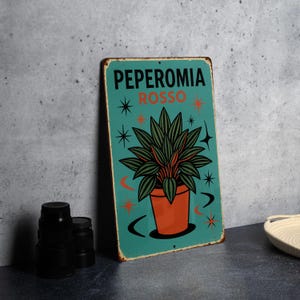 May include: A rectangular metal sign with a teal background and a retro design. The sign features the text "PEPEROMIA ROSSO" above a stylized illustration of a plant in an orange pot. Decorative star and crescent moon shapes surround the plant.
