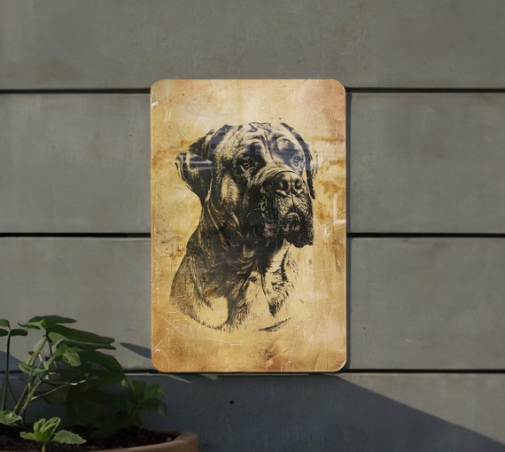Spanish Mastiff Vintage Style Metal Sign, Dog Lover Gift, Home Decor, Wall Art, Pet Memorabilia