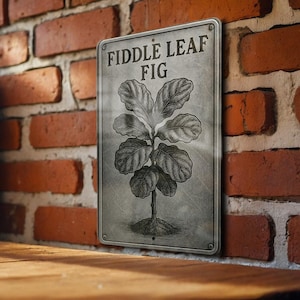 May include: A rectangular metal sign with the words "FIDDLE LEAF FIG" above a detailed illustration of a fiddle leaf fig plant. The sign is gray with a distressed finish and is mounted on a red brick wall.