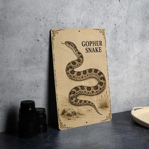 May include: A rectangular metal sign with a tan, parchment-like background featuring a detailed illustration of a coiled gopher snake. The text GOPHER SNAKE is printed in black in the upper right corner, framed by decorative corner flourishes.