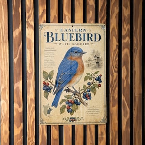 May include: A rectangular metal sign featuring an illustration of an Eastern Bluebird perched on a branch with berries. The sign has the text "Eastern Bluebird with Berries" at the top. The sign is mounted on a wooden slat wall.