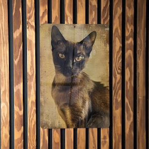 Burmese Cat Metal Sign, Vintage Style Decor, Cat Lover Gift, Retro Wall Art, Unique Home Accessory
