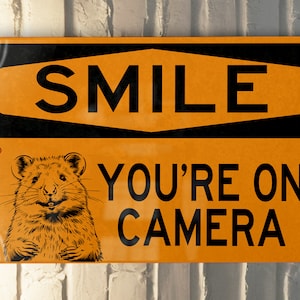 Smile You're on Camera Metal Sign, Security Alert, Outdoor Warning ...