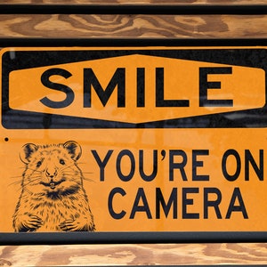 May include: Orange and black sign with the text "SMILE YOU'RE ON CAMERA" and a cartoon image of a smiling rodent.