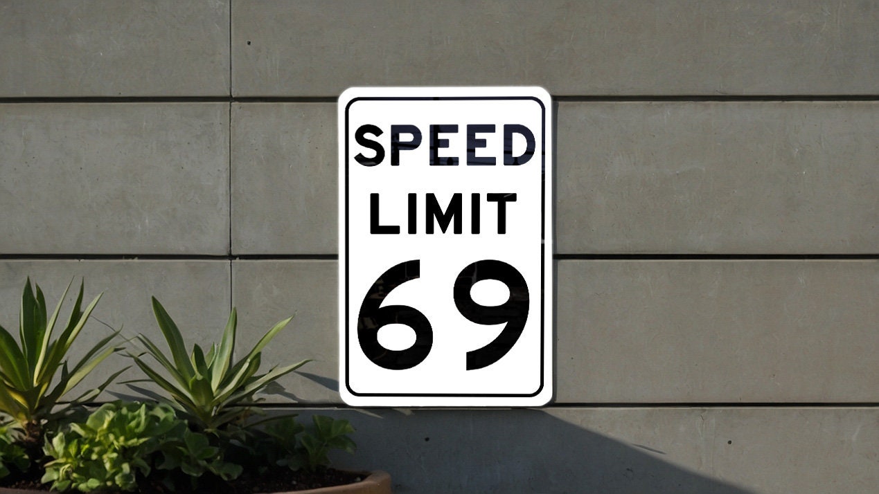 Speed Limit 69 Lustiges Aluminiumschild – 30,5 X 20,3 Cm, Humorvolle Wanddekoration Für Bar, Garage, Männerhöhle