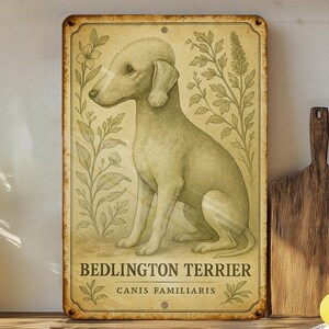 a picture of a dog sitting on a shelf