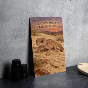 May include: A rectangular metal sign featuring a high-resolution image of a smooth knob-tailed gecko on sandy terrain. The text "SMOOTH KNOB TAILED GECKO" is printed in dark letters at the top against a desert sunset background with sparse vegetation.