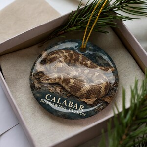 A decorative ornament featuring a Burrowing Python snake, with the text "CALABAR BURROLLING PYTHON" printed on it.