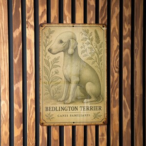 a sign on the side of a wooden wall