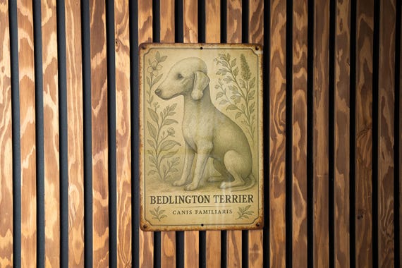 Vintage Bedlington Terrier Tin Sign – Botanical Dog Art, Aged Metal Wall Decor, Scientific Illustration, Rustic Sage & Ochre