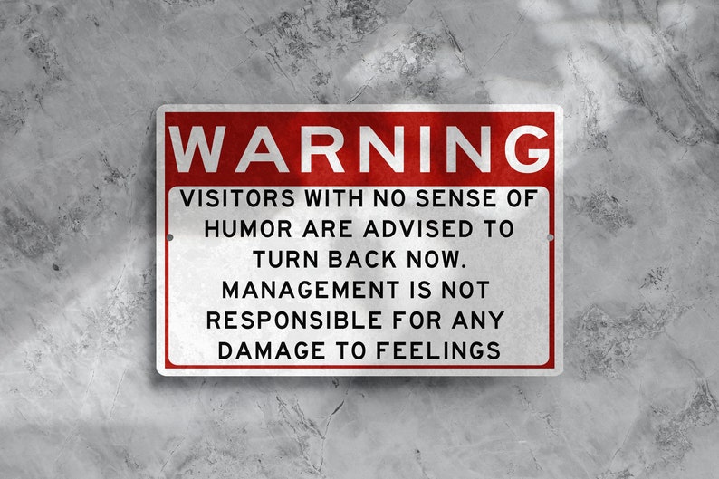 Metal Warning Sign, Not Responsible For Feelings, Sense Of Humor, Do Not Dumb, Funny Sarcastic Sign, Metal Garage Sign, Shop Sign, Dad Gift image 2