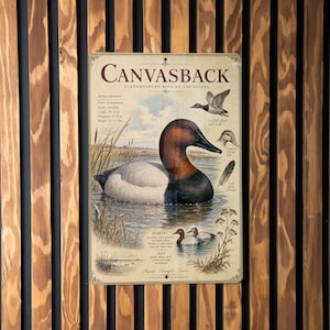 May include: A vintage-style metal sign featuring a Canvasback duck illustration. The sign includes the text "Canvasback" and "Acknowledged King of the Rivers." The artwork depicts the duck in its habitat, with additional illustrations of the duck in flight and other details.
